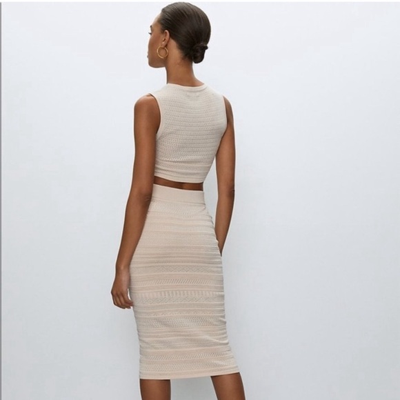 Aritzia Babaton Skirt & Top Set - Picture 4 of 12